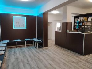 Állatorvosi rendelő berendezése